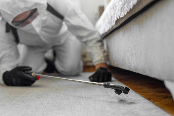 Professional Bed Bug Control technician working in Woburn, MA