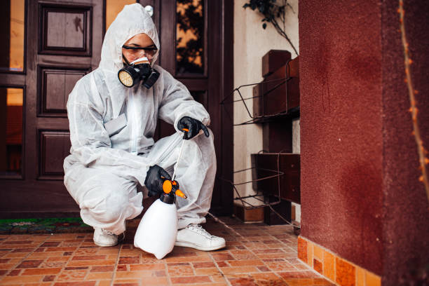 Reliable Bed Bug Control contractor in Woburn, MA by Nex Pest Control